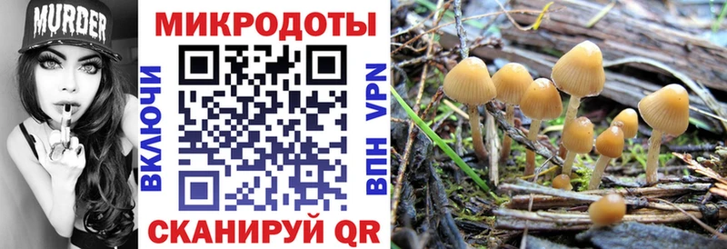 Галлюциногенные грибы GOLDEN TEACHER  Купить где  Томилино 